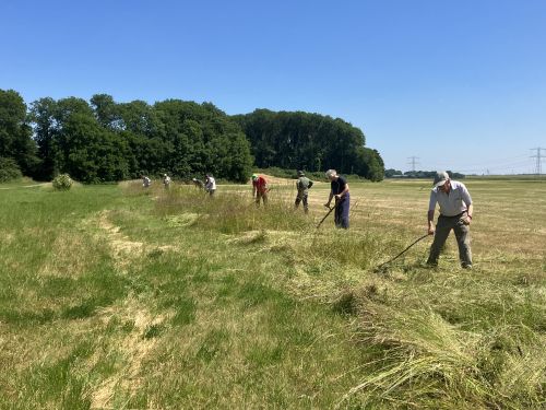 Cursus maaien op Schokland