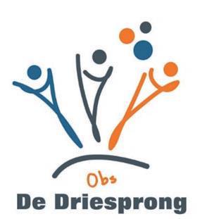 OBS DE DRIESPRONG